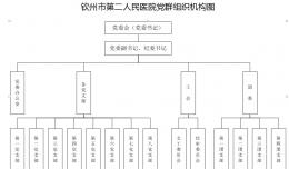 钦州市第二人民医院党群组织机构图
