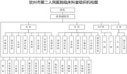 钦州市第二人民医院临床科室组织机构图