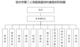 钦州市第二人民医院医技科室组织机构图