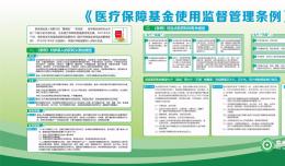 《医疗保障基金使用监督管理条例》